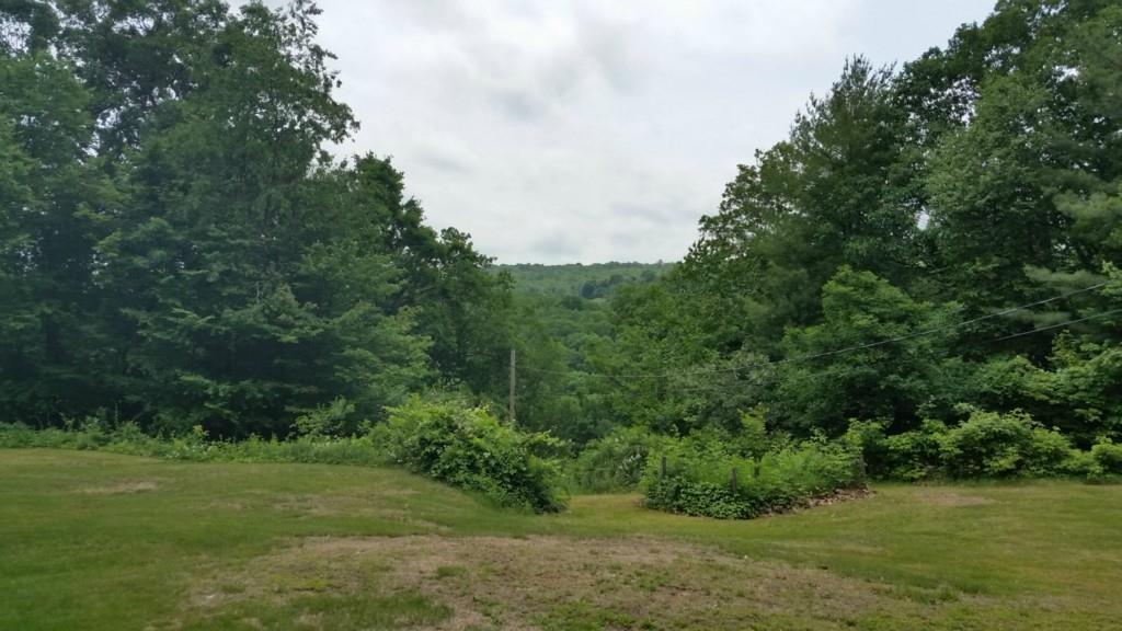 658 Washington Road Woodbury, CT 06798 - Photo 1 of 1 Gallery Image 1