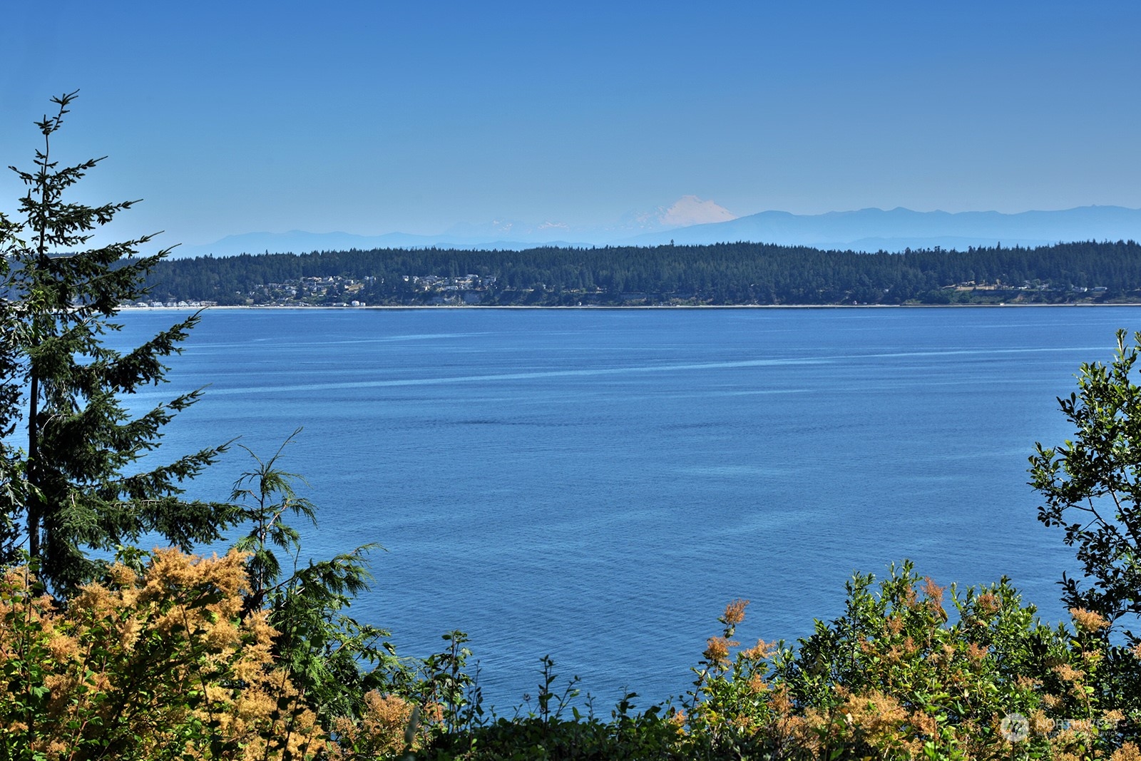 3271 Fox Spit Road Langley, WA 98260 - Photo 4 of 40 Gallery Image 4