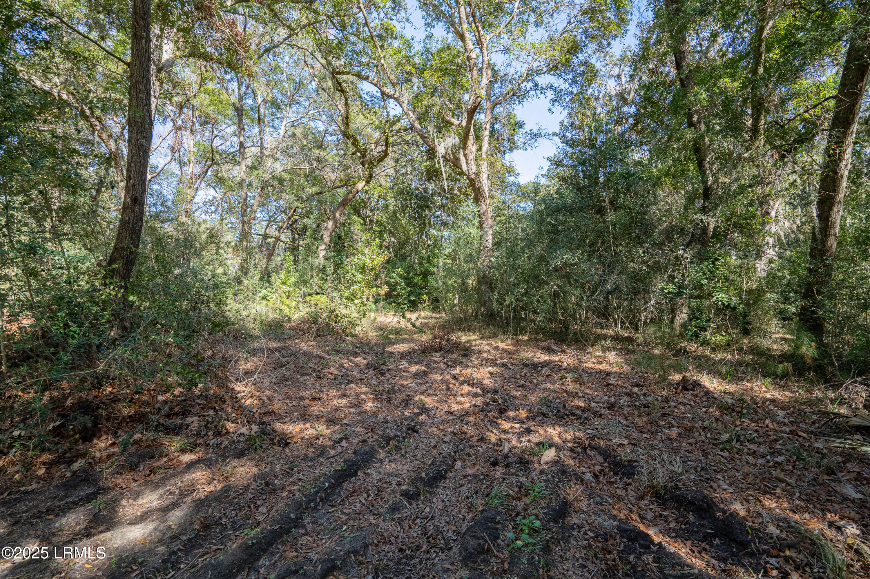 185 Bull Point Drive Seabrook, SC 29940 - Photo 17 of 41 185 Bull Point-3