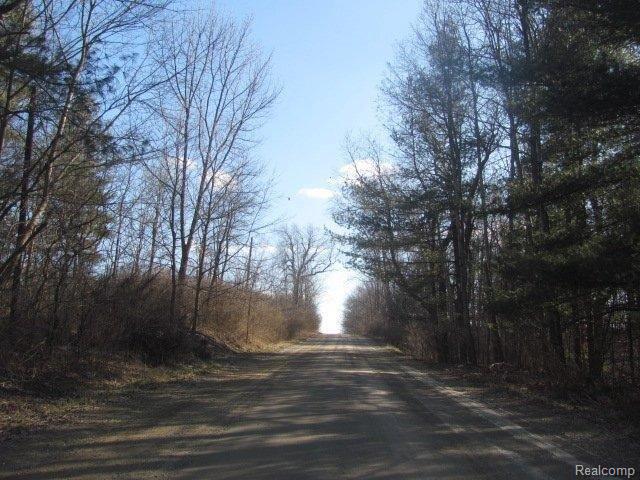 Vl North Summers Road Imlay City, MI 48444 - Photo 6 of 9 14 Street View.jpg