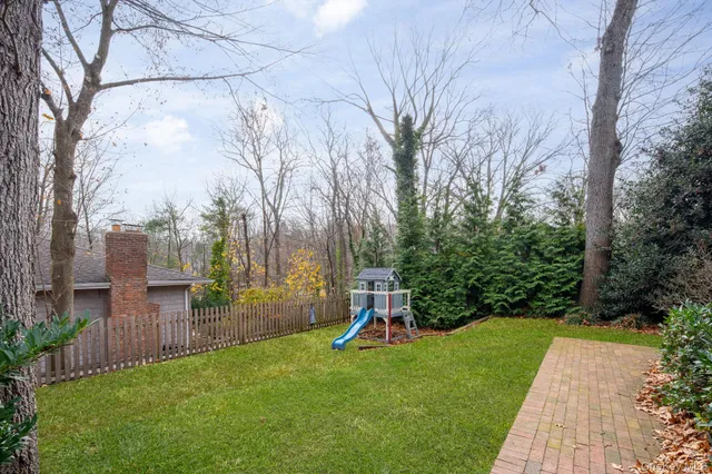 a view of a backyard with potted plants and a large tree