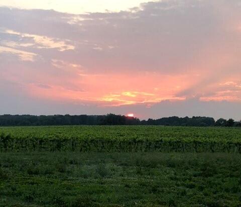 8374 Garr Road Berrien Springs, MI 49103 - Photo 35 of 46 8374_Garr_sunset