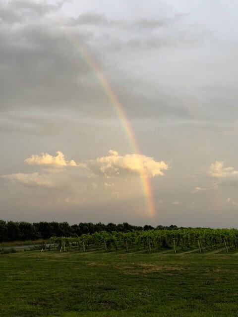 8374 Garr Road Berrien Springs, MI 49103 - Photo 44 of 46 8374_Garr_rainbow
