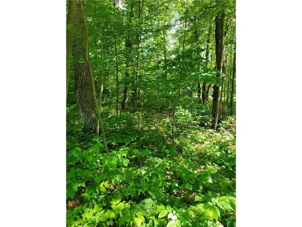 $30,000 | Tbd 330th Street, Motley, MN 56466