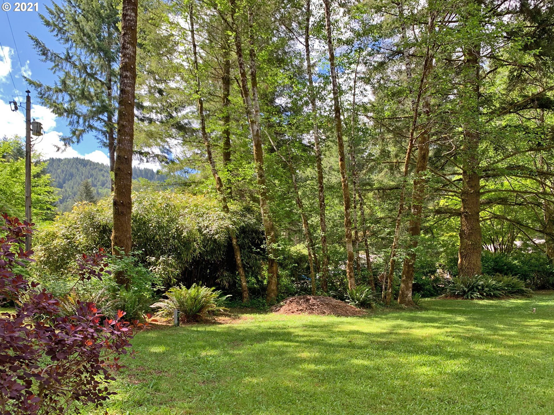 1336 Winchuck River Road Brookings, OR 97415 - Photo 24 of 27 Gallery Image 24