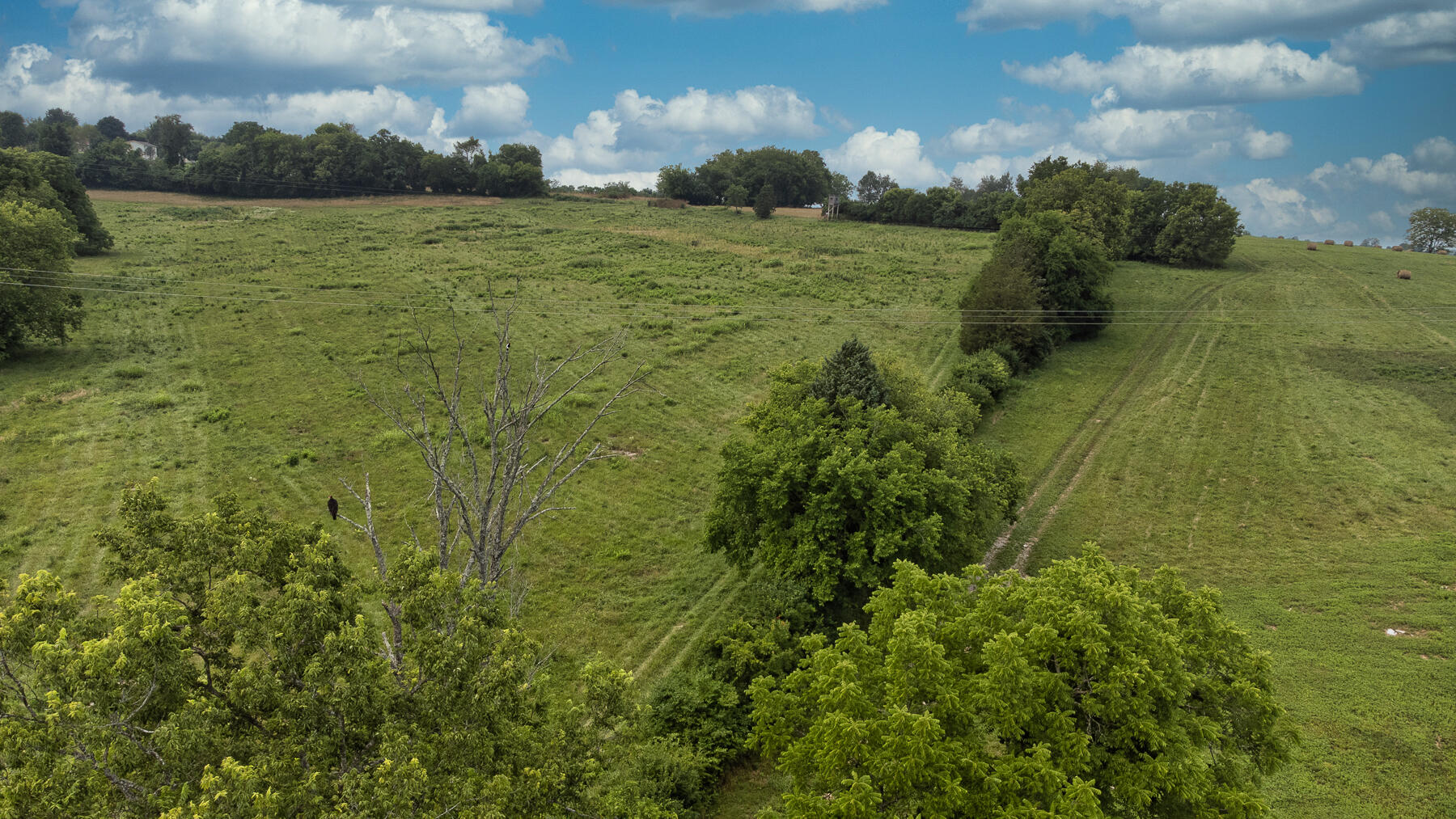 1 Hall Road Nicholasville, KY 40356 - Photo 2 of 34 Area1