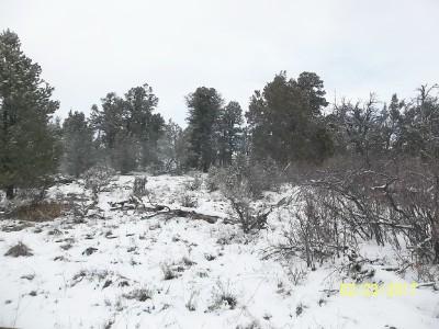 25 Ragsdale Road Norwood, CO 81423 - Photo 1 of 8 lot25buildingsite