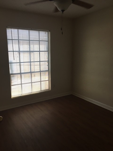 4709 Harmon Avenue, Unit 321 Austin, TX 78751 - Photo 13 of 16 an empty room with a window