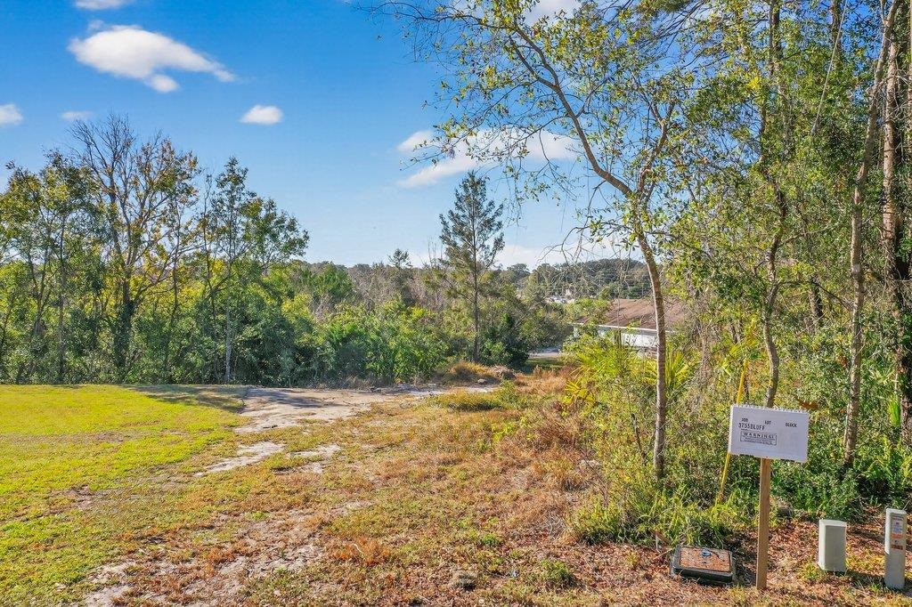 3755 Bluff Lane St. Augustine, FL 32086 - Photo 2 of 14 a view of a yard with basketball court