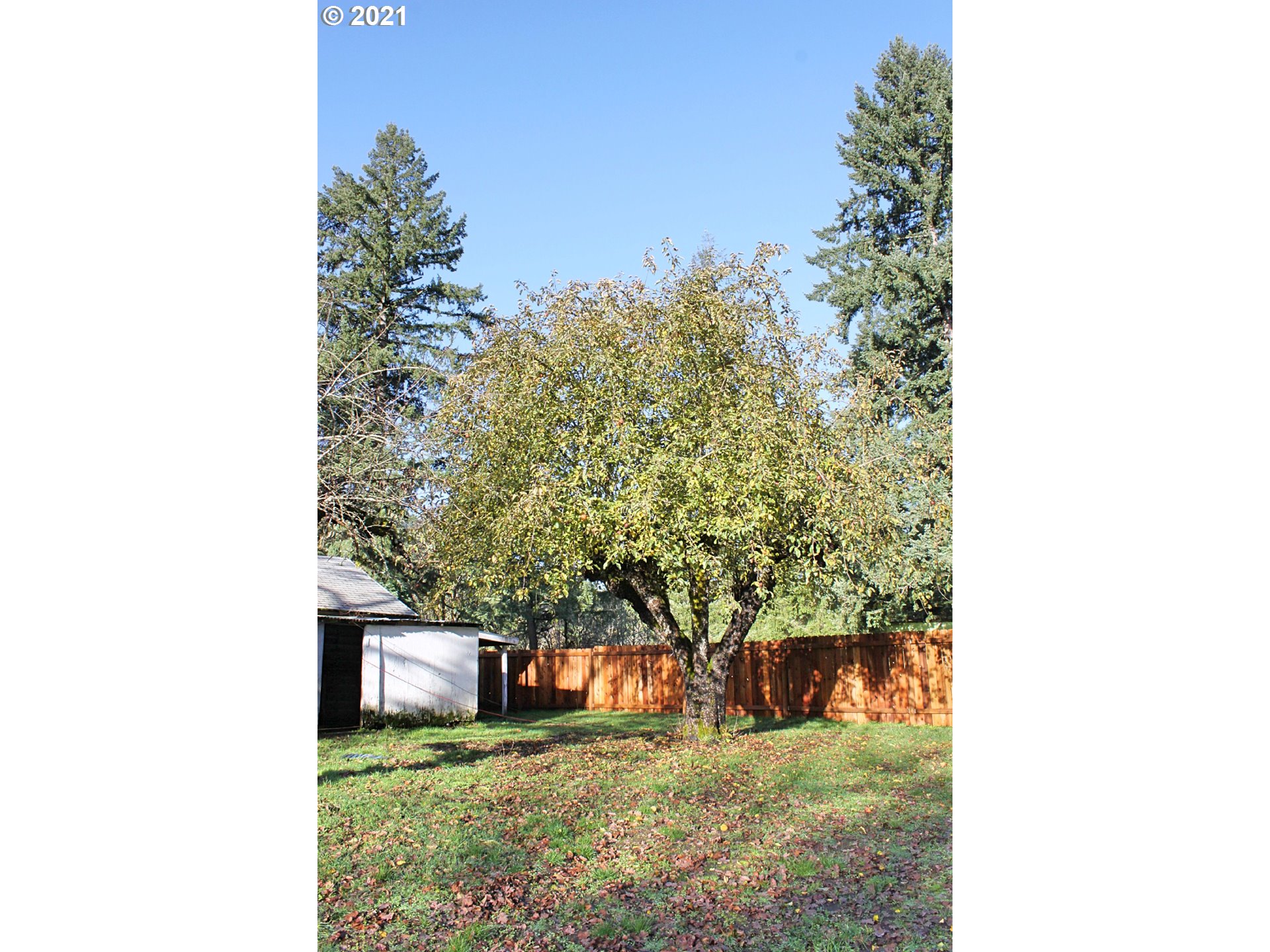 37877 Row River Road Dorena, OR 97434 - Photo 18 of 18 a view of a house with a yard