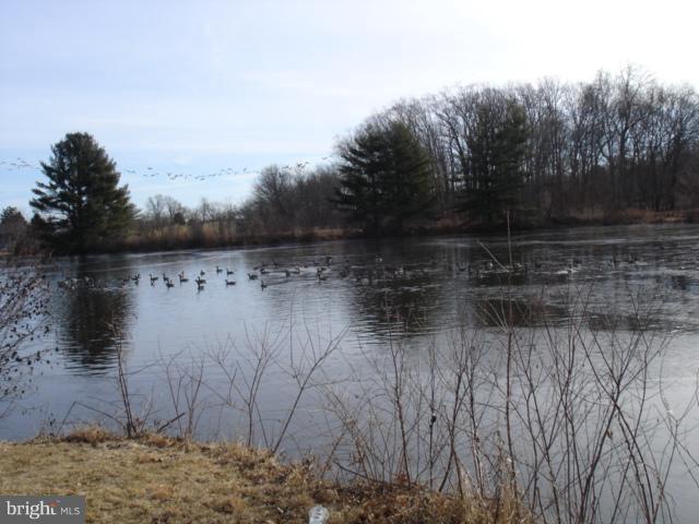 946 Union Church Road Elkton, MD 21921 - Photo 4 of 9 3 1/2 acre pond on this property with fish