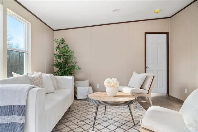 a living room with furniture and a potted plant