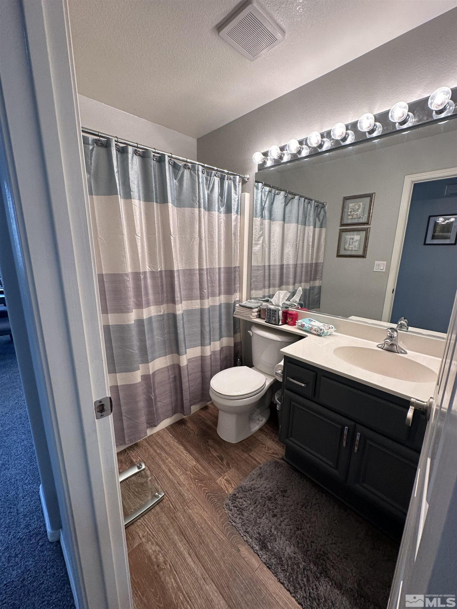 1605 Brentford Way Reno, NV 89521 - Photo 6 of 19 Photo 6