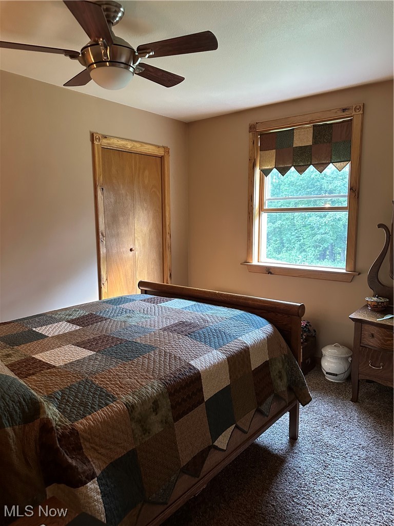 48864 Dry Ridge Road Clarington, OH 43915 - Photo 31 of 49 Bedroom with carpet flooring and ceiling fan