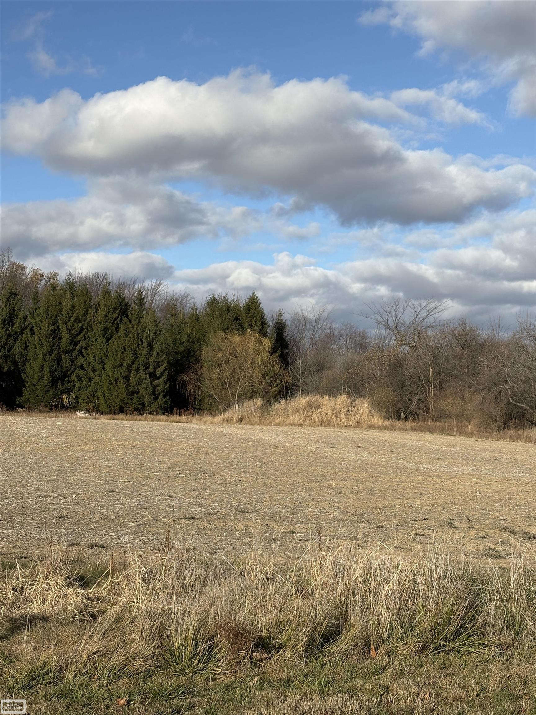 14830 Dudley Road Brown City, MI 48416 - Photo 27 of 33