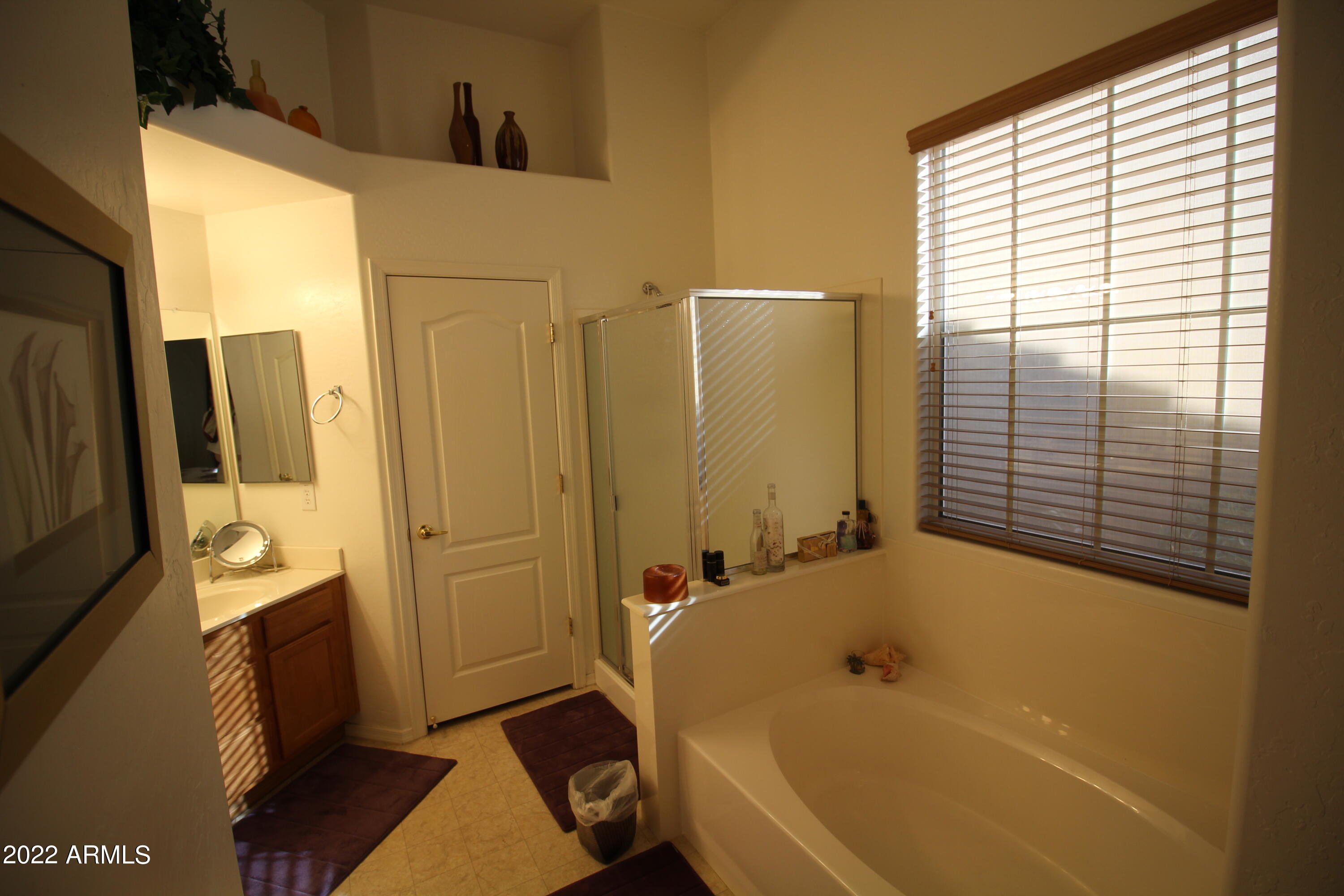 3928 East Minton Street Phoenix, AZ 85042 - Photo 18 of 24 IMG_1088