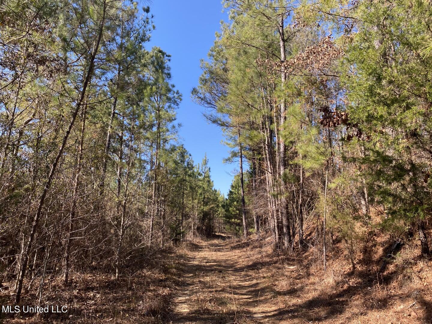 3122 County Road Kilmichael, MS 39747 - Photo 1 of 40 240 Attala