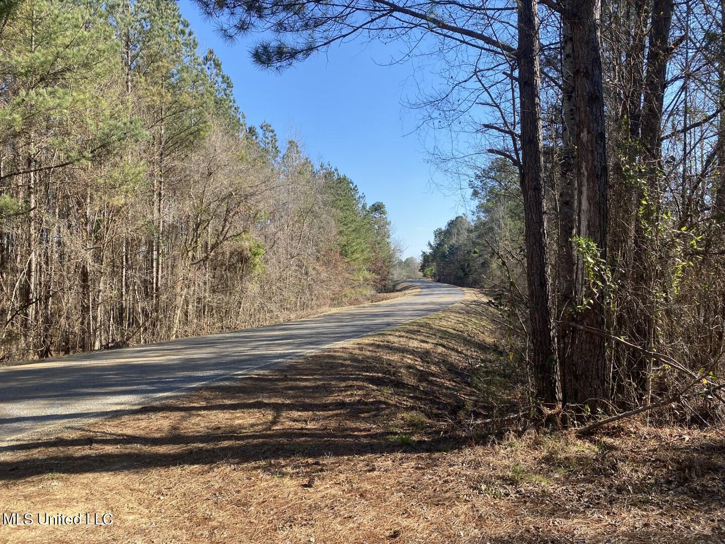 3122 County Road Kilmichael, MS 39747 - Photo 11 of 40 11