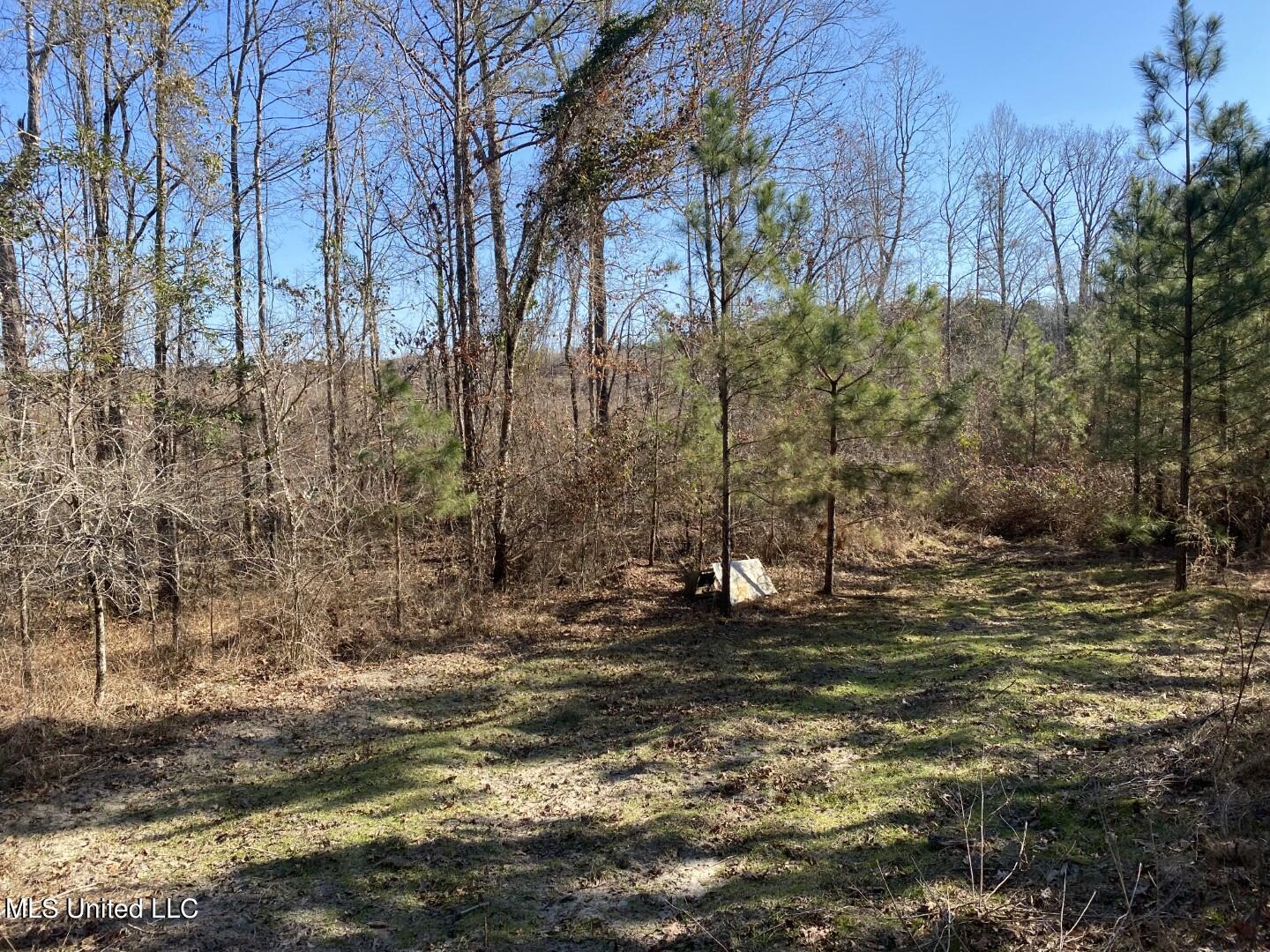 3122 County Road Kilmichael, MS 39747 - Photo 14 of 40 14
