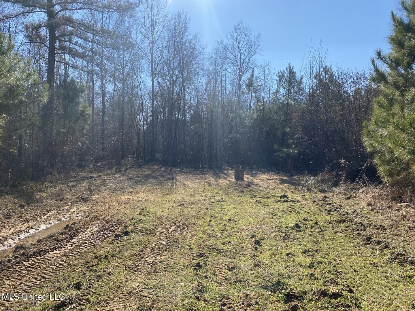 3122 County Road Kilmichael, MS 39747 - Photo 15 of 40 15
