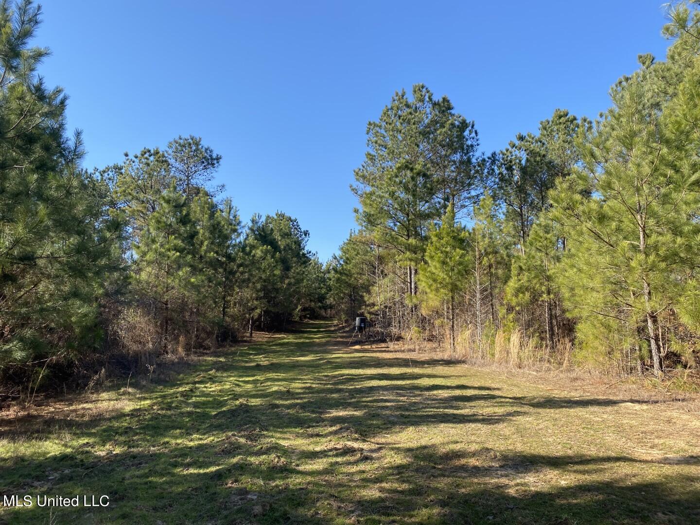 3122 County Road Kilmichael, MS 39747 - Photo 16 of 40 16