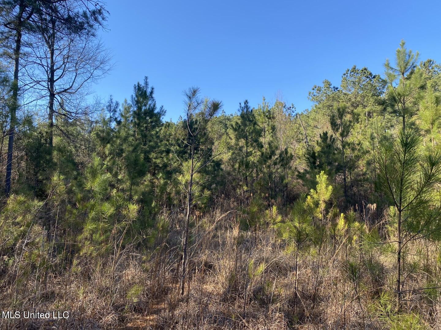 3122 County Road Kilmichael, MS 39747 - Photo 18 of 40 18