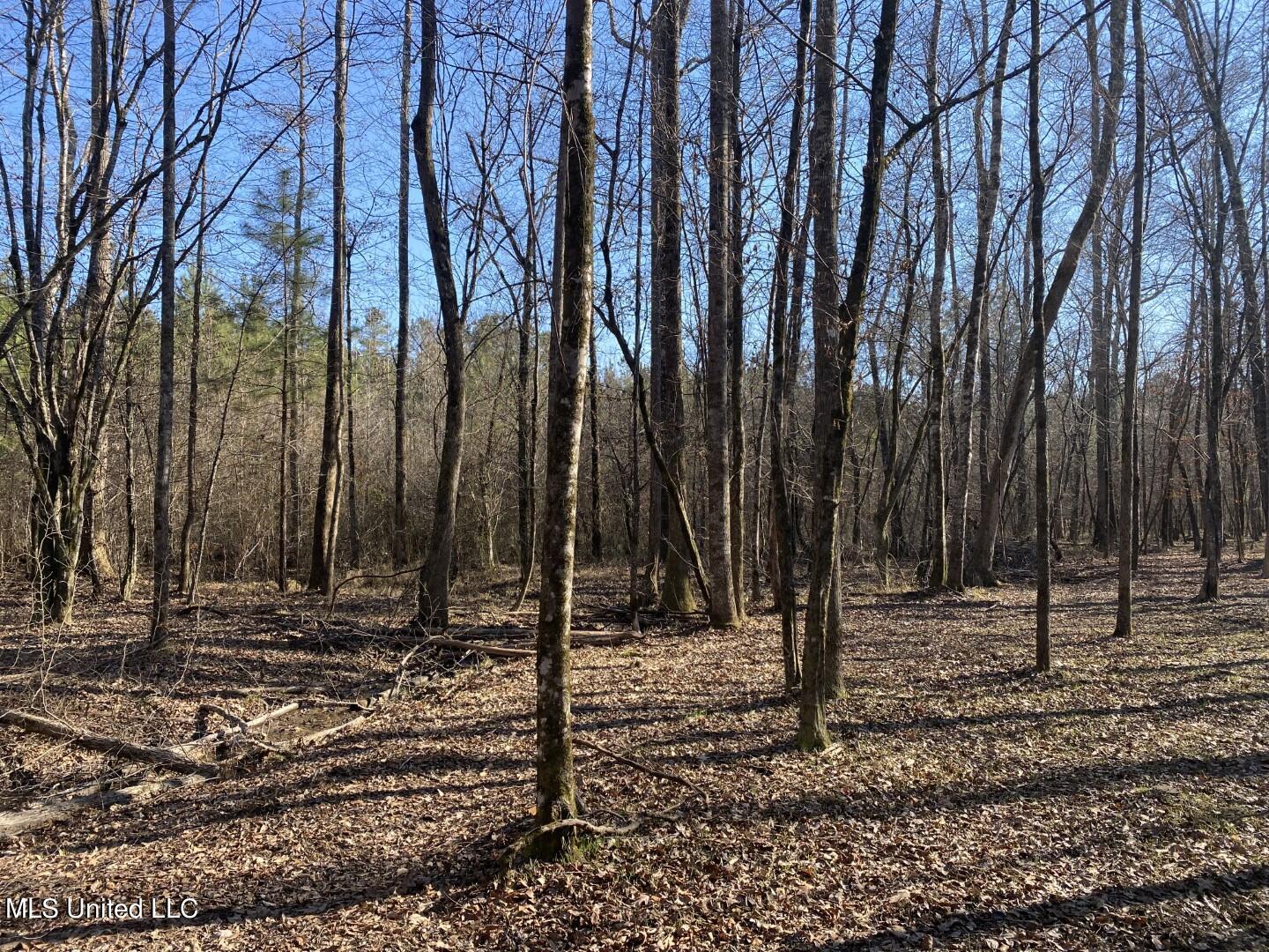 3122 County Road Kilmichael, MS 39747 - Photo 19 of 40 19