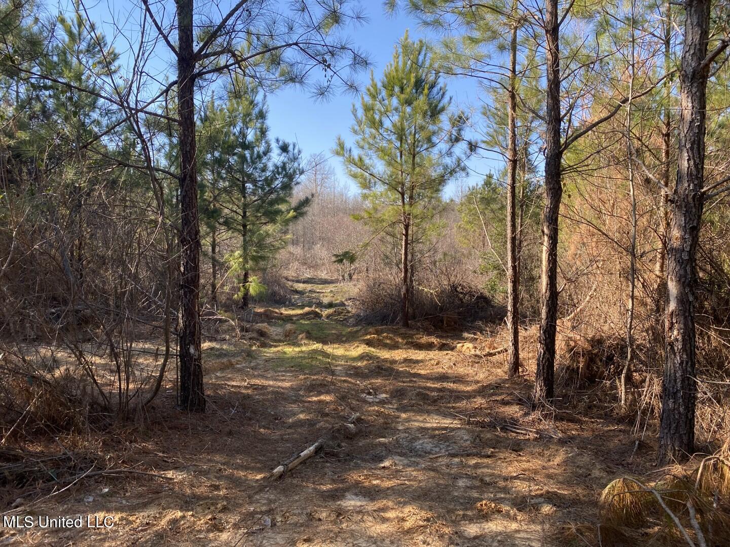 3122 County Road Kilmichael, MS 39747 - Photo 2 of 40 2