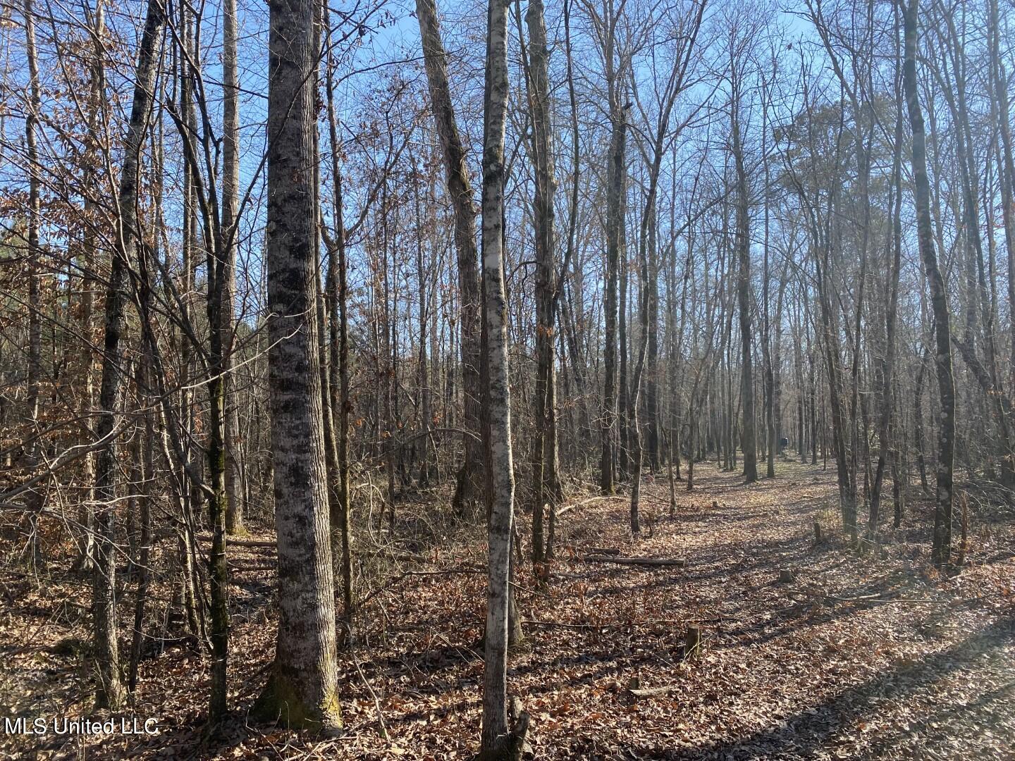 3122 County Road Kilmichael, MS 39747 - Photo 23 of 40 23