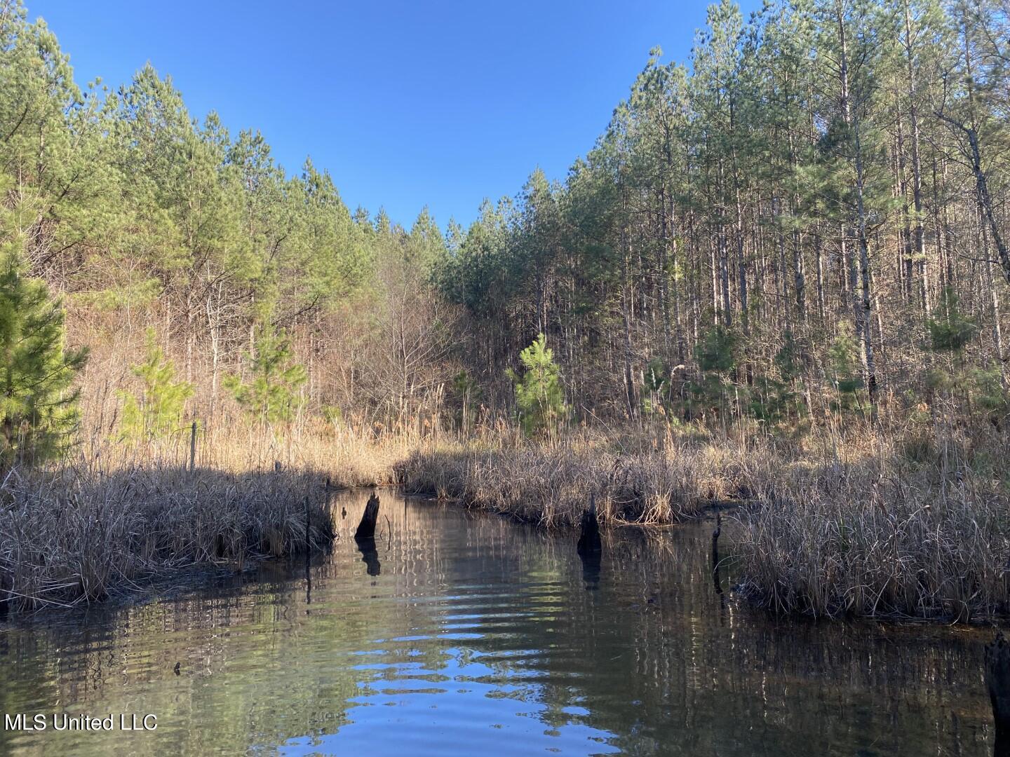 3122 County Road Kilmichael, MS 39747 - Photo 24 of 40 24