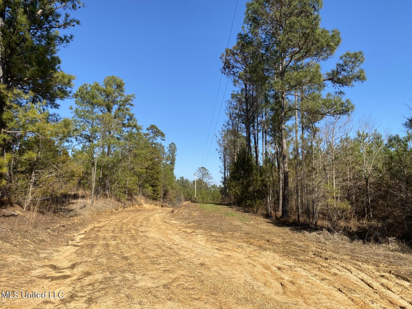 3122 County Road Kilmichael, MS 39747 - Photo 25 of 40 25