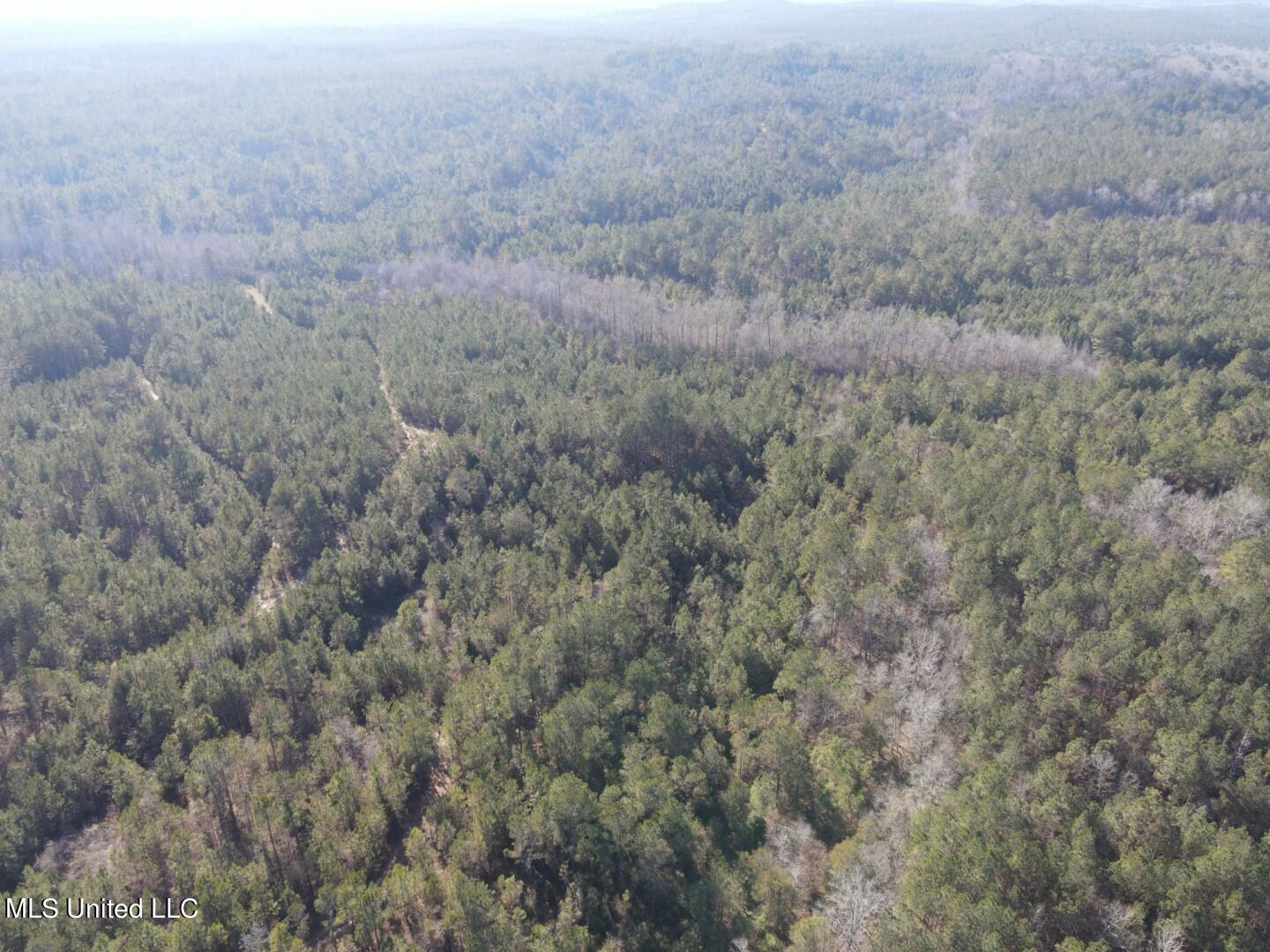3122 County Road Kilmichael, MS 39747 - Photo 27 of 40 27