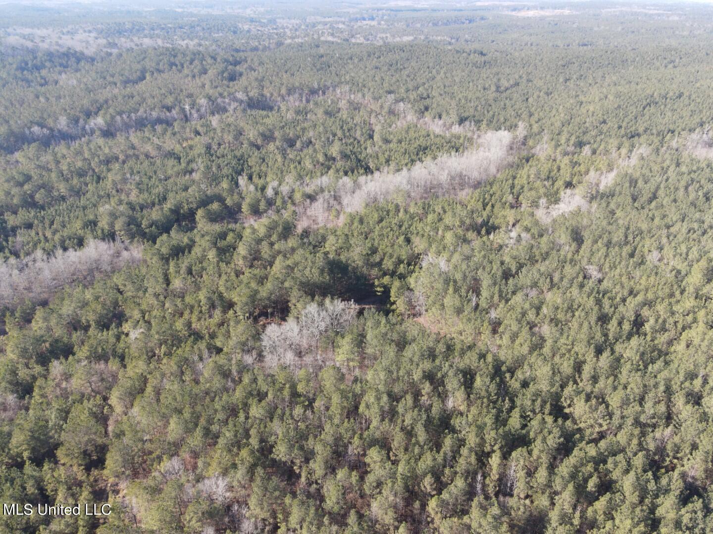 3122 County Road Kilmichael, MS 39747 - Photo 28 of 40 28