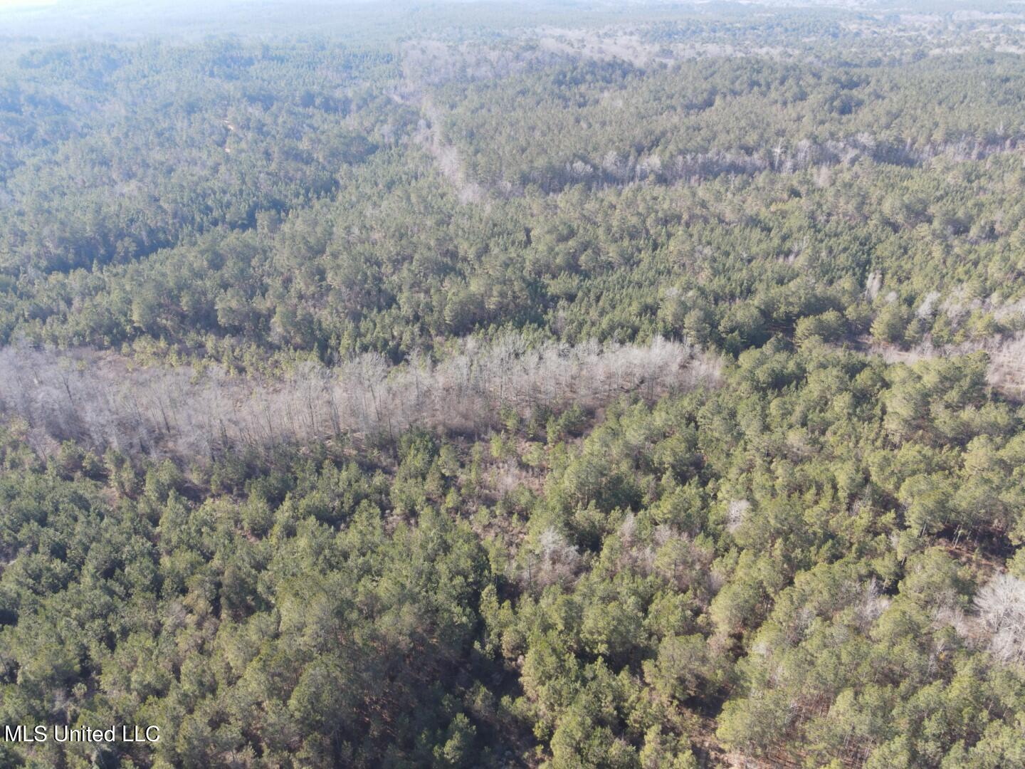 3122 County Road Kilmichael, MS 39747 - Photo 29 of 40 29