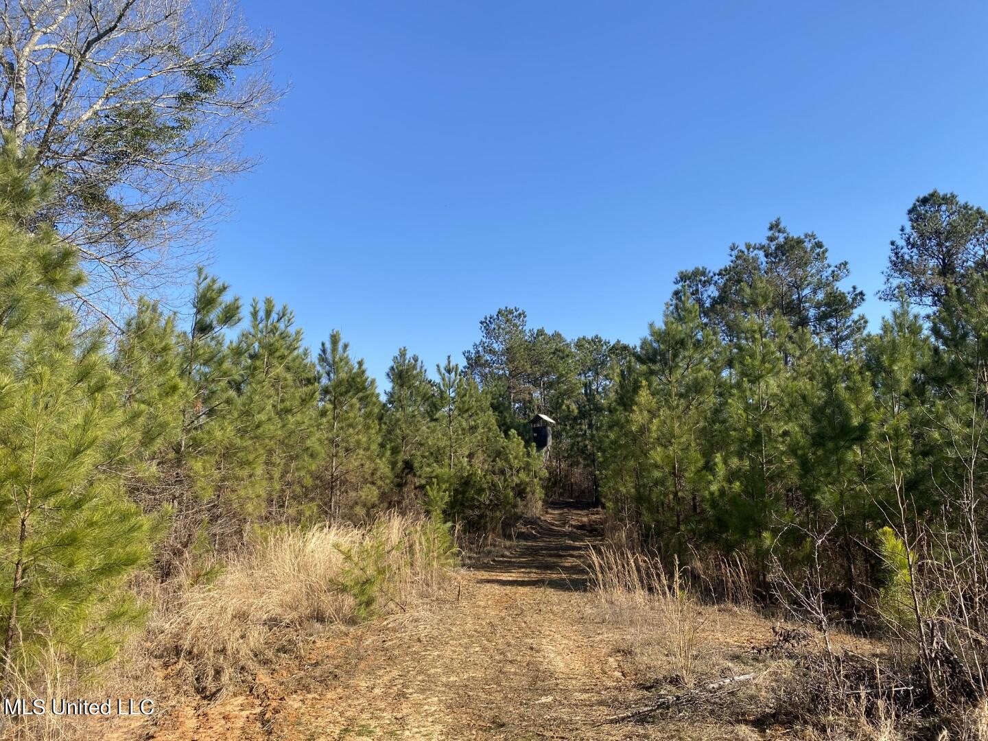 3122 County Road Kilmichael, MS 39747 - Photo 3 of 40 3