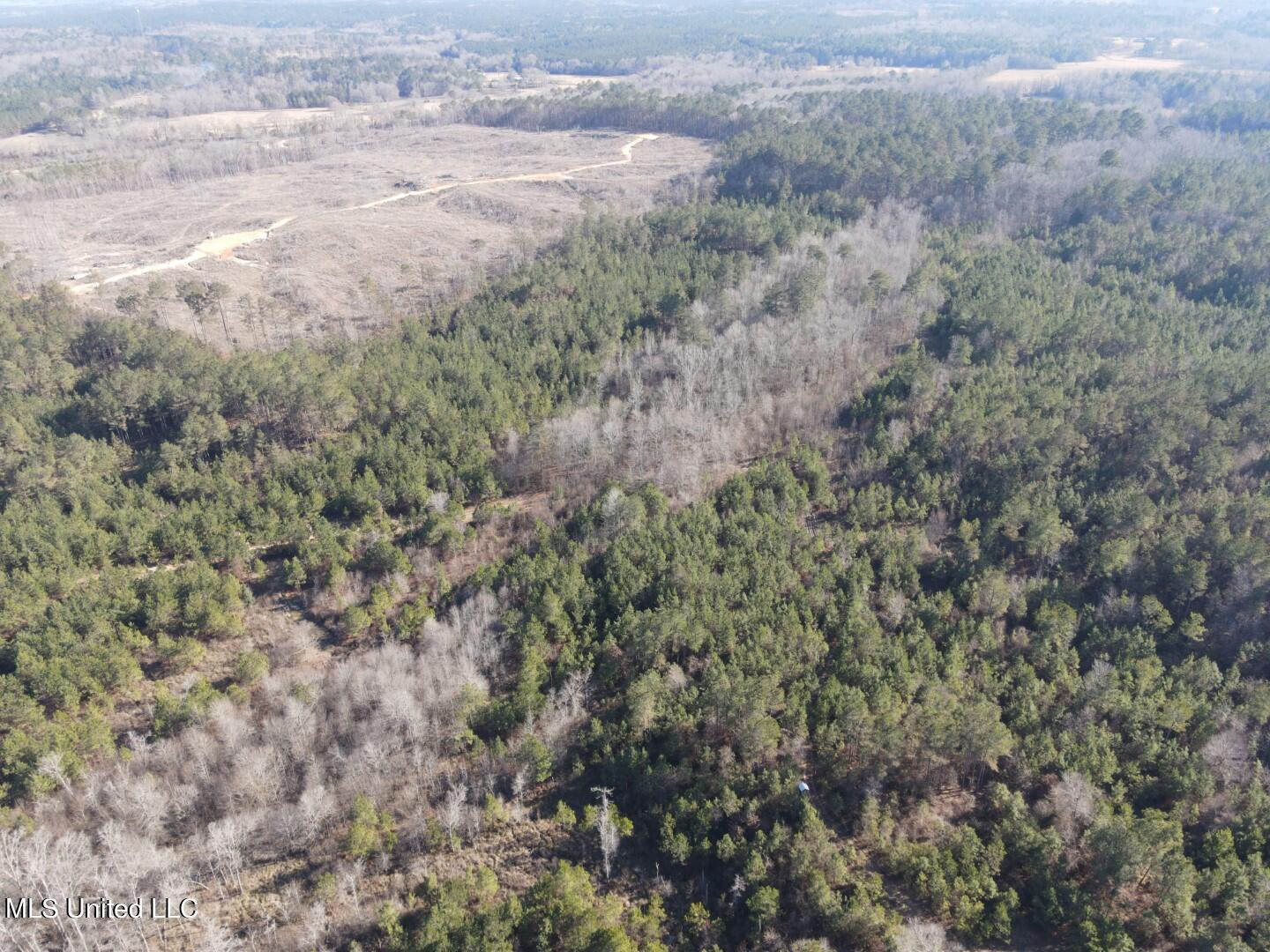 3122 County Road Kilmichael, MS 39747 - Photo 31 of 40 31