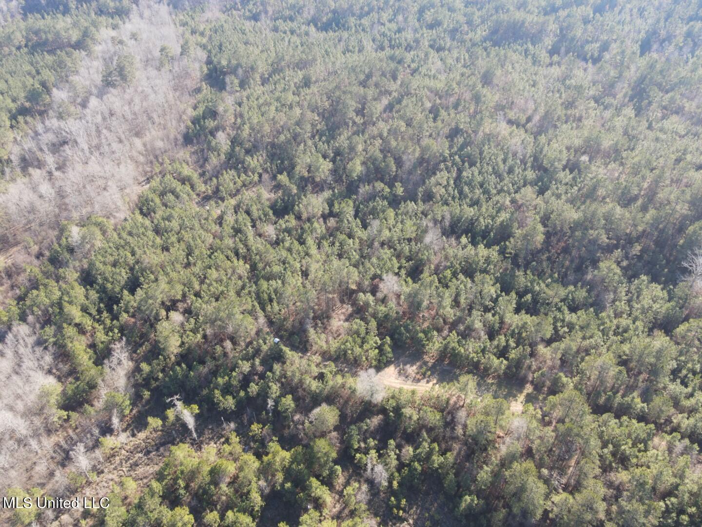 3122 County Road Kilmichael, MS 39747 - Photo 32 of 40 32