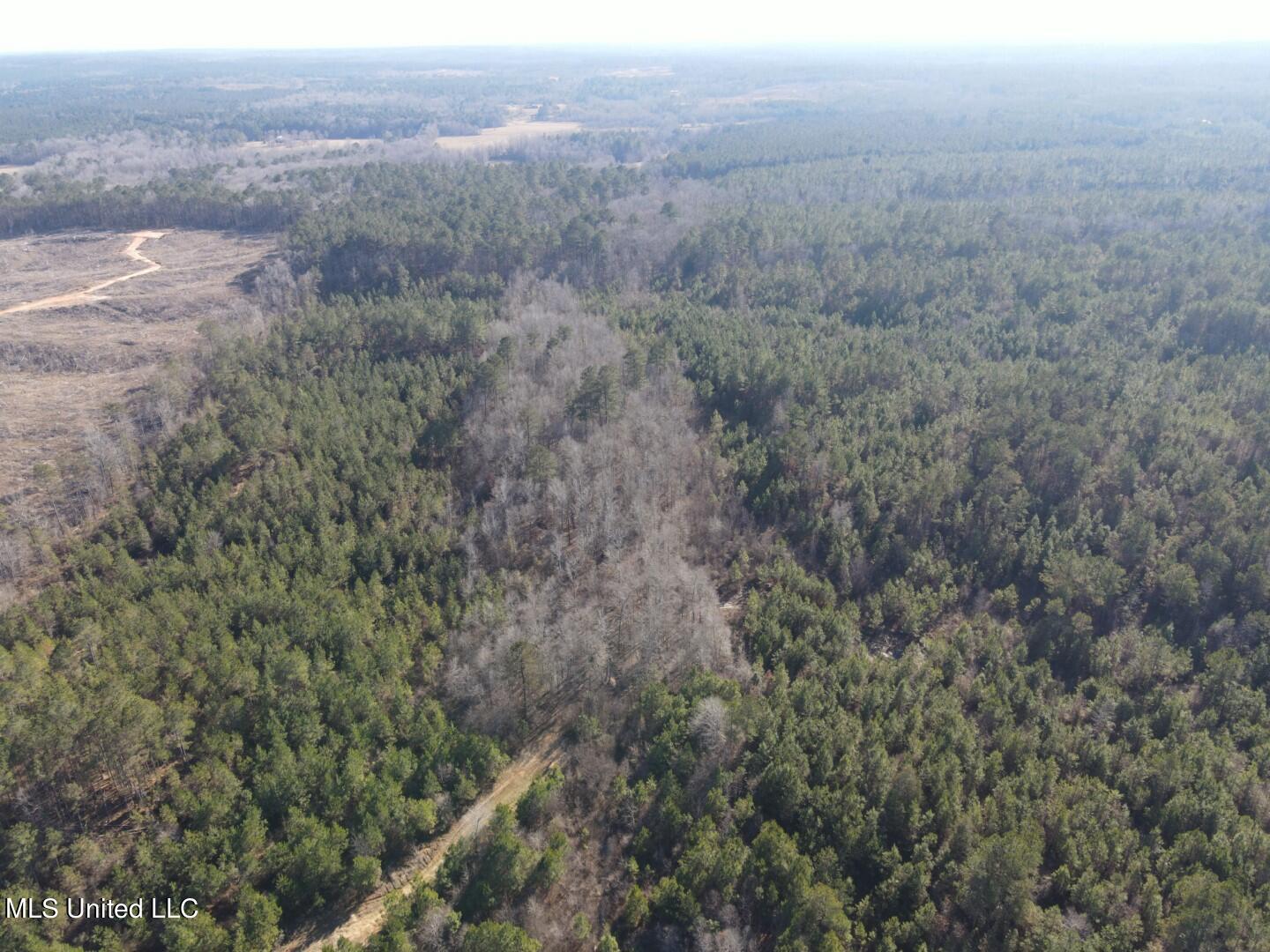 3122 County Road Kilmichael, MS 39747 - Photo 33 of 40 33