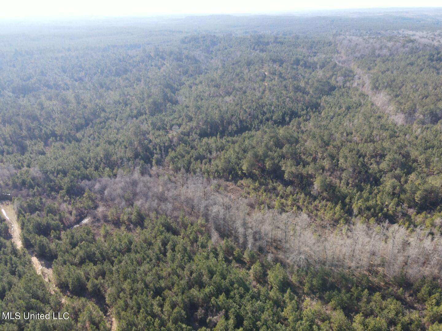 3122 County Road Kilmichael, MS 39747 - Photo 34 of 40 34