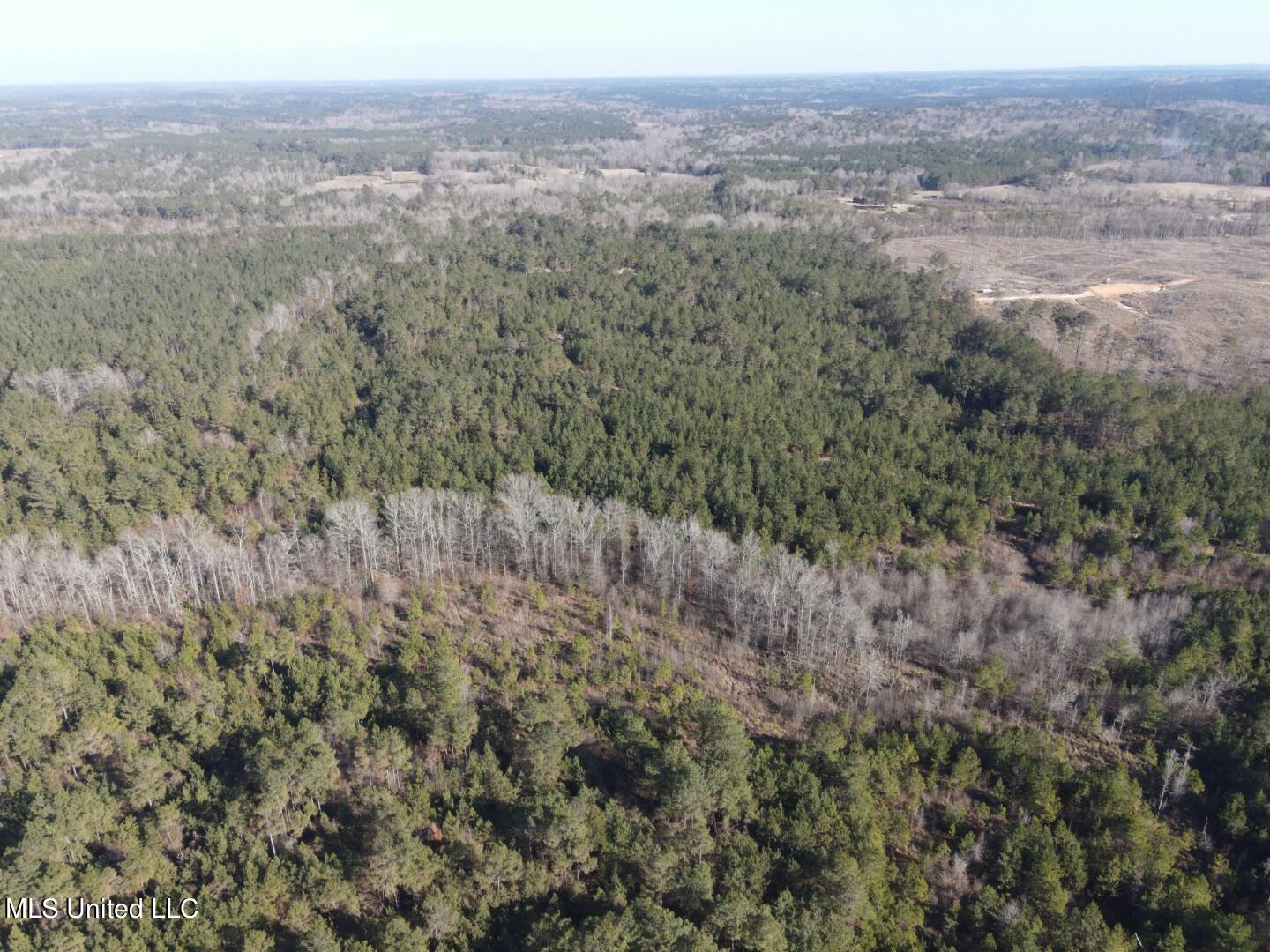 3122 County Road Kilmichael, MS 39747 - Photo 38 of 40 38
