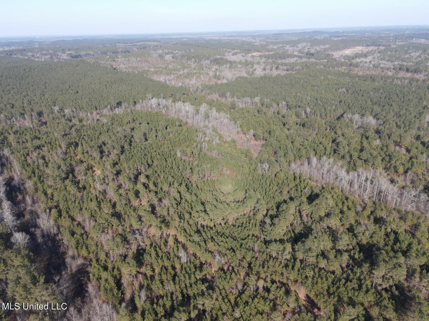 3122 County Road Kilmichael, MS 39747 - Photo 39 of 40 39