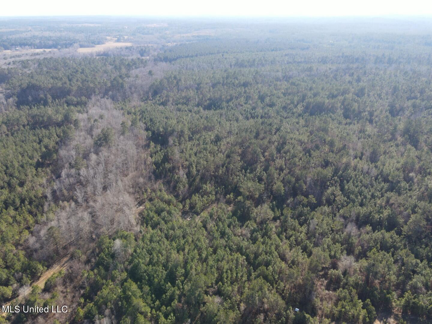 3122 County Road Kilmichael, MS 39747 - Photo 40 of 40 40