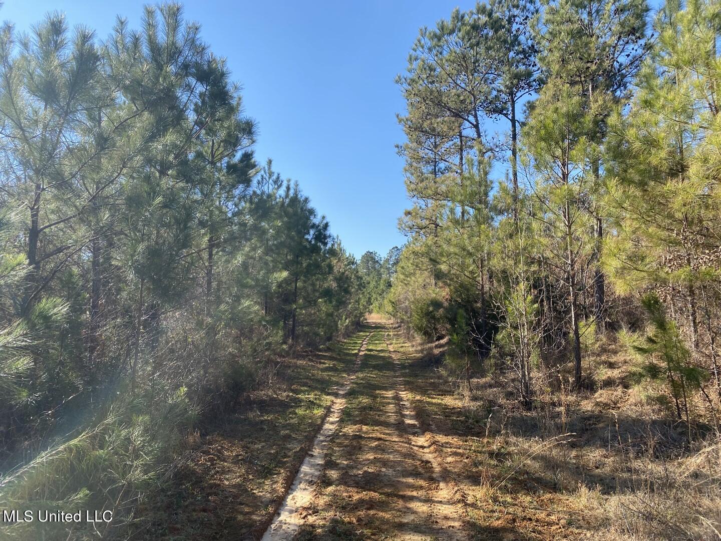 3122 County Road Kilmichael, MS 39747 - Photo 4 of 40 4