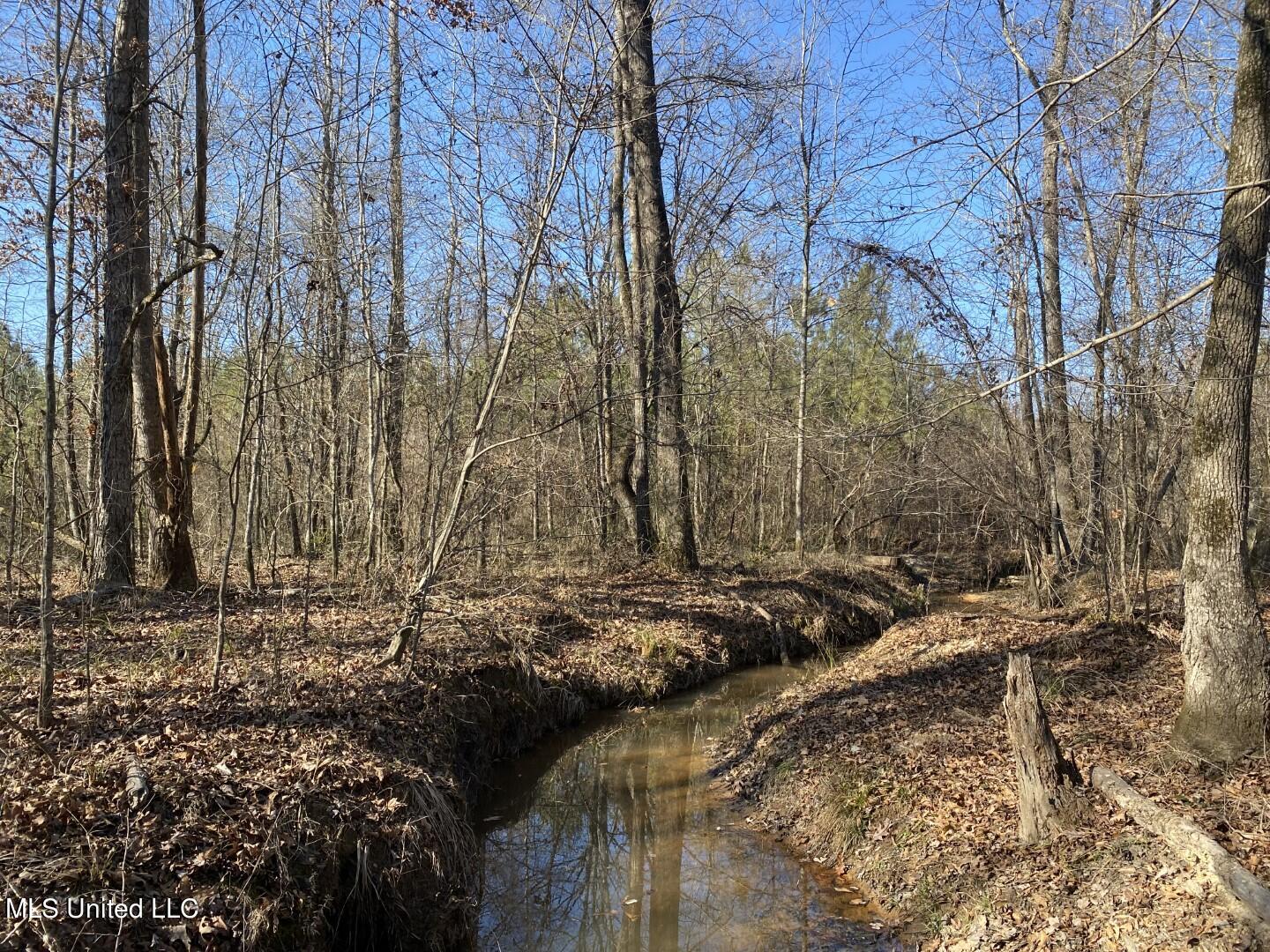 3122 County Road Kilmichael, MS 39747 - Photo 5 of 40 5