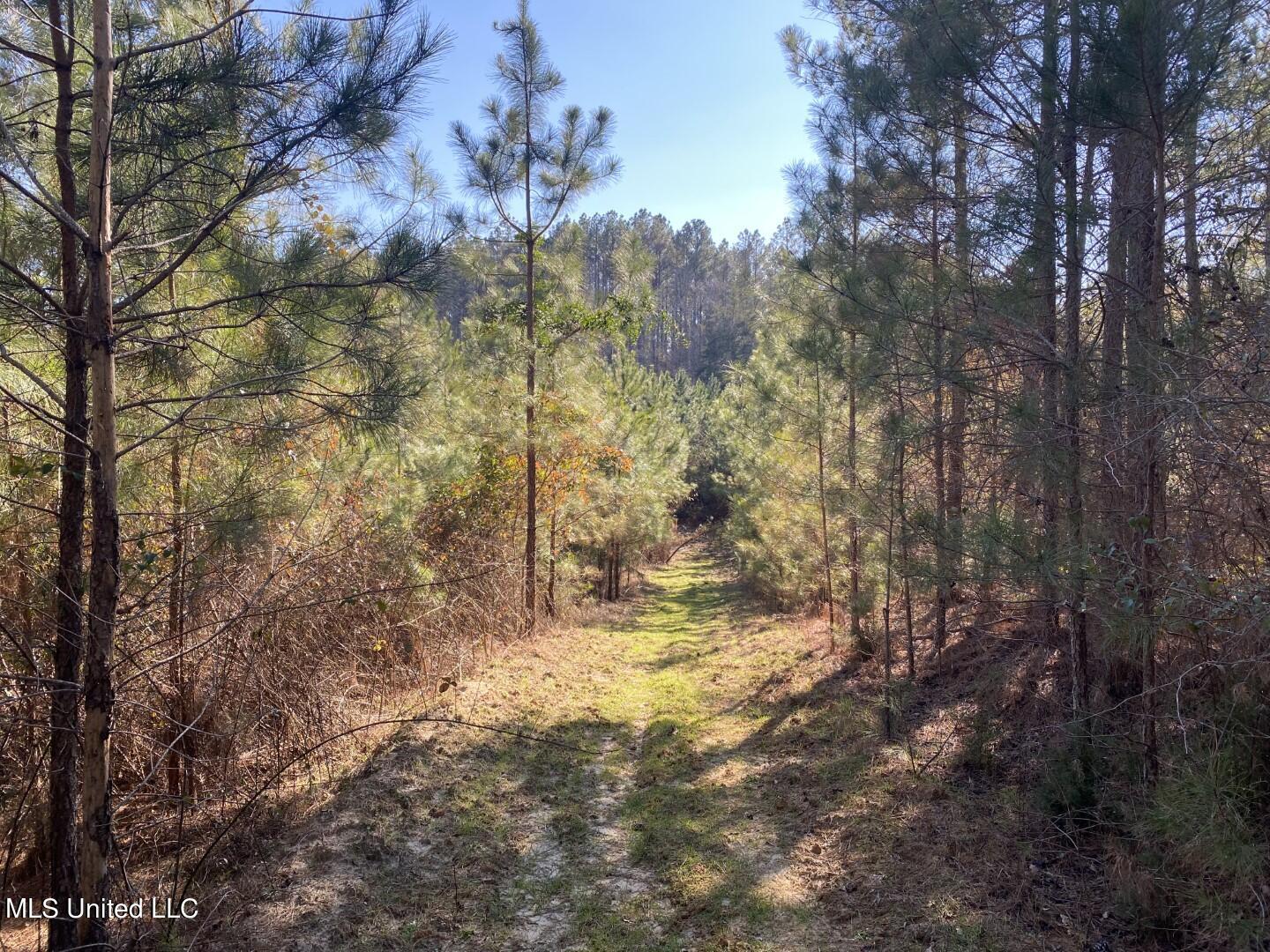 3122 County Road Kilmichael, MS 39747 - Photo 6 of 40 6