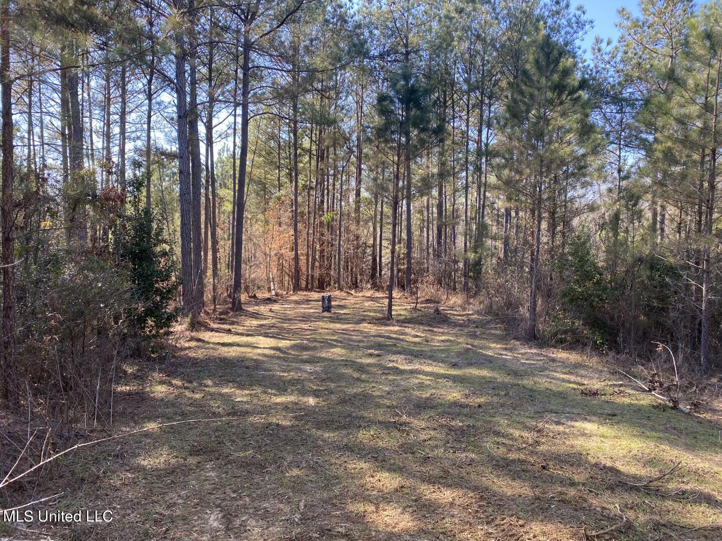3122 County Road Kilmichael, MS 39747 - Photo 7 of 40 7