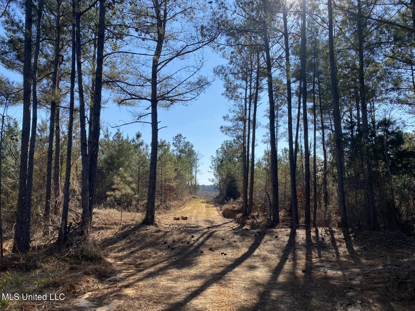 3122 County Road Kilmichael, MS 39747 - Photo 9 of 40 9