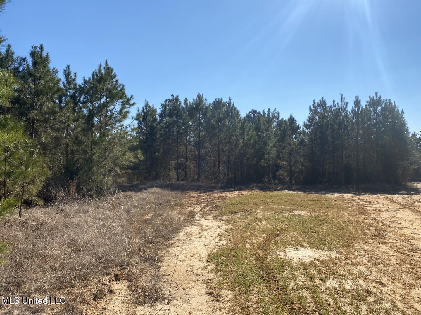 3122 County Road Kilmichael, MS 39747 - Photo 10 of 40 10