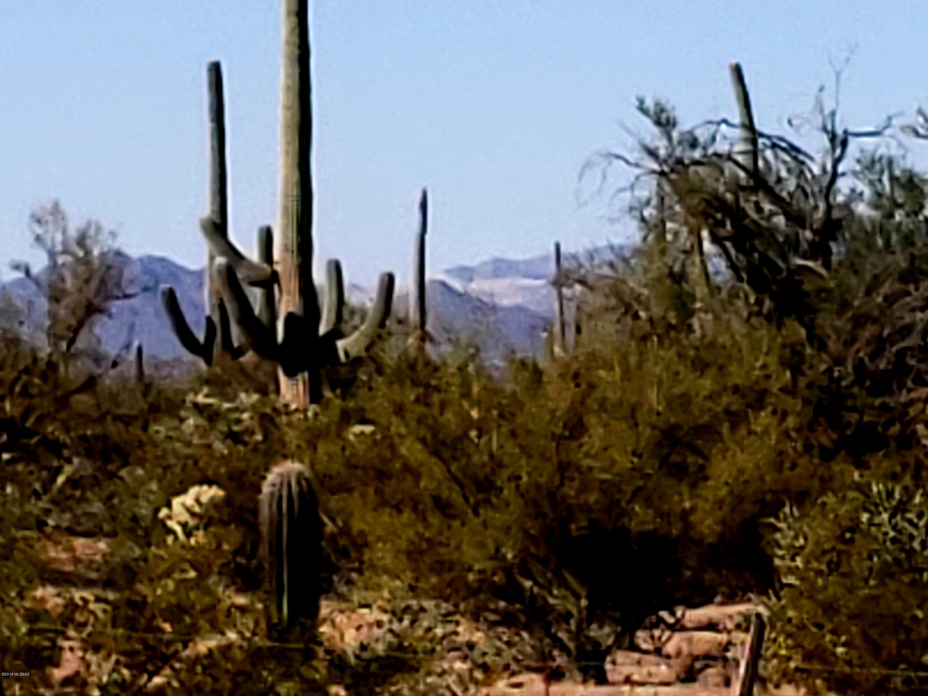 12200-blk West Fort Lowell Road Tucson, AZ 85743 - Photo 8 of 14