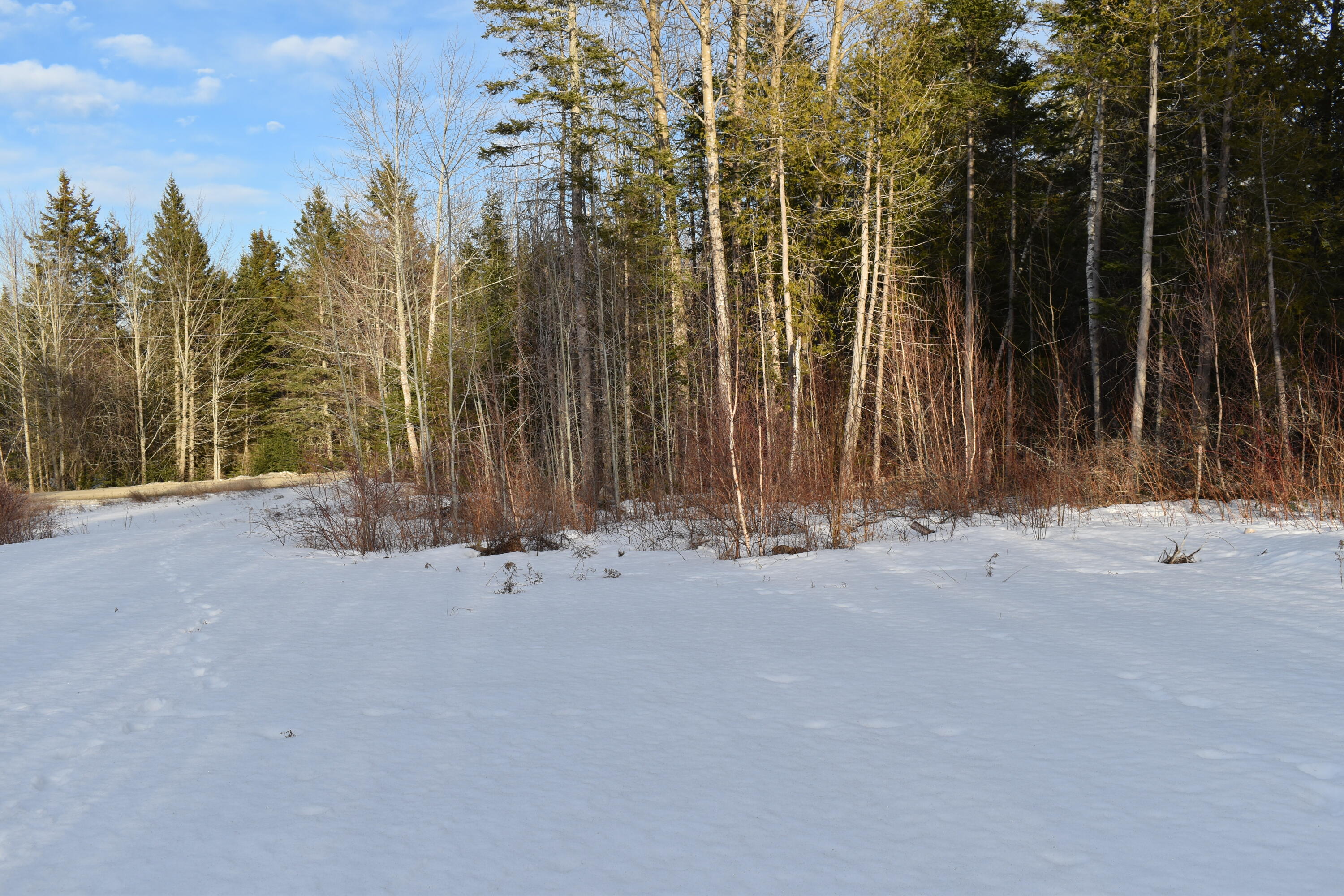 169 Curtis Farm Road Lincoln, ME 04457 - Photo 2 of 13 DSC_0116